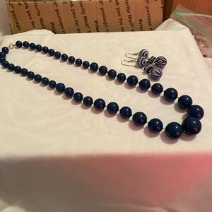 Navy Blue Beaded Necklace and Earrings Set